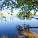 Foto: Blick vom Ufer auf einen Fluss