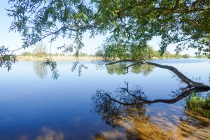 Foto: Blick vom Ufer auf einen Fluss