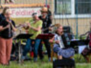 Foto: Orchester spielt auf einer Wiese, Zaun im Hintergrund